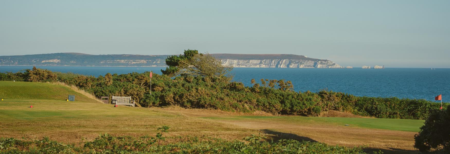The coast and surrounding New Forest area near Carlton House